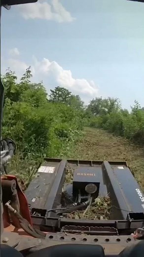 Kubota Svl65-2. Land pride brush cutter. Satisfying video. Overgrown field.