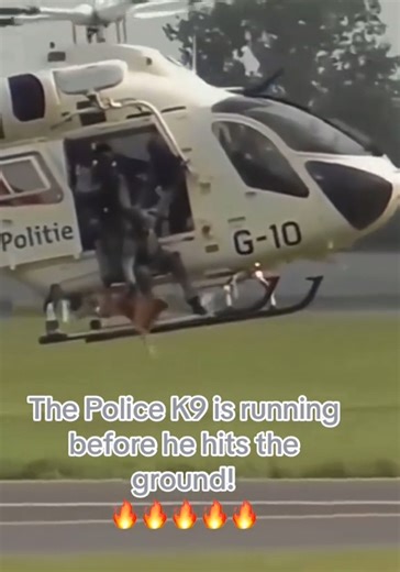 175K views · 6.6K reactions | Already in attack mode before it hits...