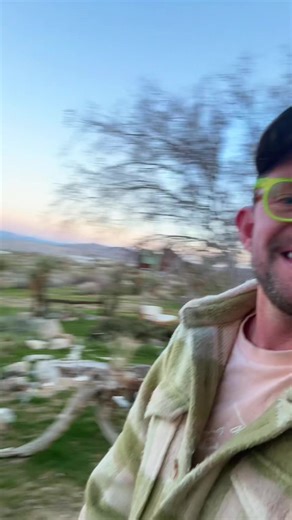 Exploring the Mojave Desert Landscape