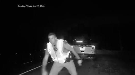 Police release new video showing near-miss crash on Florida highway