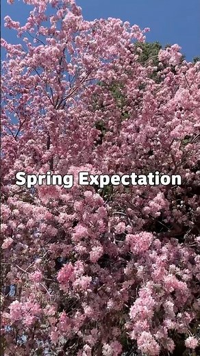 First Day of Spring Expectations vs. Reality