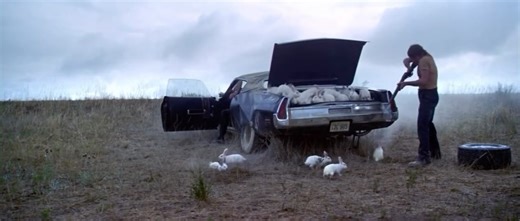 This Light on Instagram: "A trunk full of white rabbits in Michael Cimino’s Thunderbolt and Lightfoot from 1974"