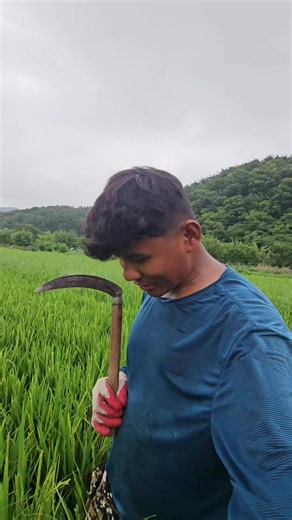 Korea Agriculture in Nepal: Farming Collaboration Explained