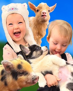 Bridgette loves exploring the farm with her baby pig, goats, cow, emu, & puppies! 💕 | Plant Based Gabriel