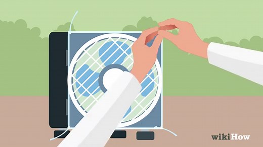 Comment tuer un moustique