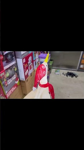 Inflating Goose With Santa Hat Christmas Inflatable