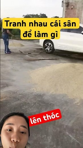 What are the neighbors fighting over the yard for?