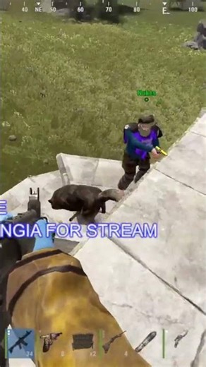 WOLF AI NEEDS TO BE NERFED! #rust #rustconsole #rustgame #gaming #rustclips #funny