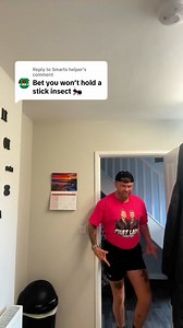 69K views · 2K reactions | Im scared of all insects, news series where I hold loads of insects up to my number one phobia a tarantula | Dean Alex | Facebook