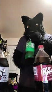 Soda Jerk (Furry Inflation)