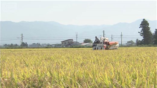 25年産新米の相対取引価格 初の3万円超 概算金上昇が主な理由