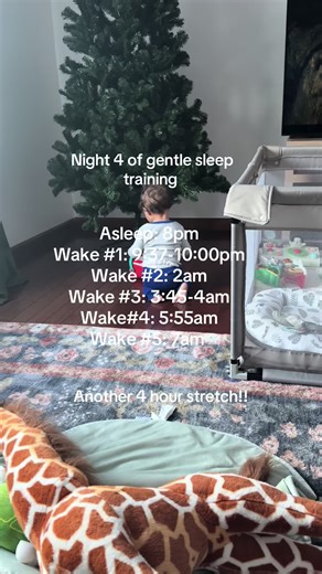 Night 4 of gentle sleep training: from here I’m just looking to see if this becomes a habit and if does then the next step would be on how to drop a wake #motherhood #momsoftiktok #sleeptraining #gentlesleeptraining