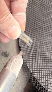 Here’s an outstanding example of a Crinoid fossil specimen that has been found and prepared by the Yorkshire Fossils Team, it is roughly 190 Million years old 😍🦕 The intricate details are truly something to behold! 🔬 For ammonite rocks to crack open, please visit our official online store yorkshirefossils.NET (link in bio) or message directly on Instagram @yorkshire.fossils 🦕 For more videos, check our YouTube / TikTok! 🏝 Thanks for supporting our page! 🐊 #natural #nature #fossil #fossils 