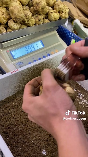 #trufflefood #newyorkrestaurants #blacktruffle #losangeles #truffleseason #beverlyhills #ilpastaio #tartufobiancodalba #tartufiitaliani #beverlyhills90210 #