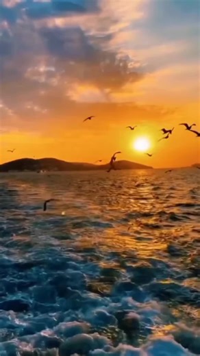 Finding Peace in a Chaotic World