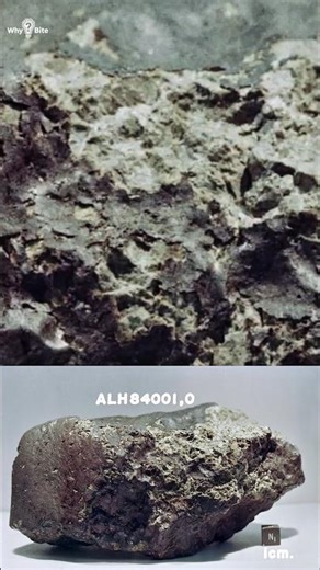 Panspermia: Possible, But Unproven #astrobiology #lifeonearth