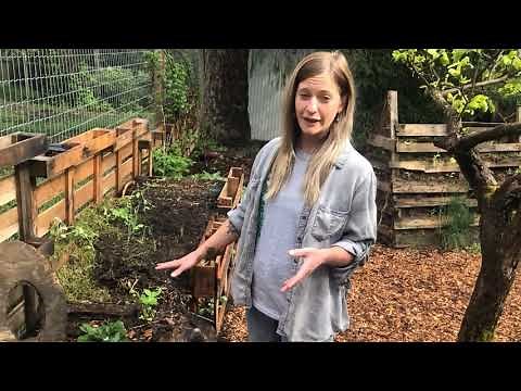 Gardening Basics with 4-H BC: Lesson 1 - Planning Your Garden