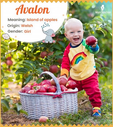 Avalon Name Meaning, Origin, History, And Popularity