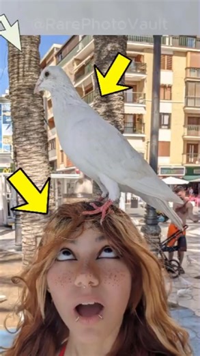 You Won’t Believe These Rare Photos Exist 🤯📸