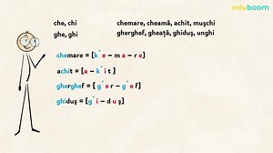Corespondența „literă - sunet”. Limba și literatura română clasa a 6-a