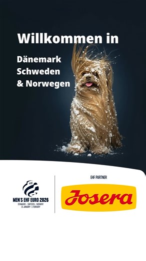 Josera petfood 🇩🇪 on Instagram: "3, 2, 1 ... bereit für die Platte? Morgen ist er endlich da, der große Tag. Der Moment der ersten Entscheidung. Der erste Matchday! 💪🏻 Und wir sind mittendrin als offizieller EHF Partner der Handball Europameisterschaft der Männer 2026. Mit klopfenden Herzen, Fanschals und der Leidenschaft für den Sport. Ob in den Arenen in Schweden, Dänemark und Norwegen oder auf der Couch daheim - are you ready to play? 🤾🏻‍♂️ #josera #petfoodwithpassion #ehfeuro2026 #hand