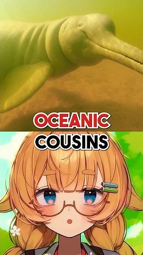 This UGLY DOLPHIN Lives in RIVERS?!