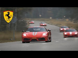 BEST OF OLD FERRARI SOUNDS! | Raw V8 & V12 Exhaust Notes! (599GTO, 458, F40, Challenge Stradale)