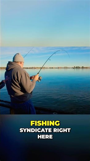 Non-Stop Rainbows! High-Performance Trout Fishing 🌊