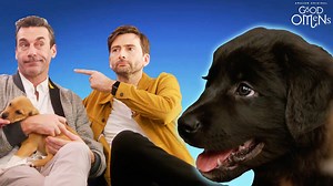635K views · 2.2K reactions | Puppies & The Apocalypse With The Cast And Crew Of Good Omens Who's cuter? The cast and producers of Good Omens or the puppies? Catch Good Omens on Amazon Prime Video on May 31st. | BuzzFeed | Facebook