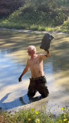 Official Turtleman on Instagram: "That’s liiive action 🐢 #YEEYEE #liveaction #Turtleman #snappingturtle #wildman"