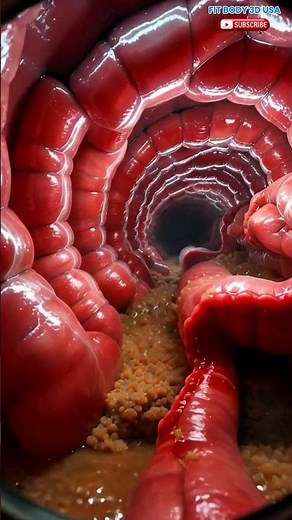 Ultra-Realistic Colonoscopy View | Inside Human Large Intestine | Medical 3D Visualization