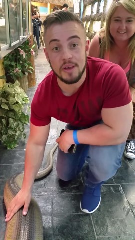 Visitors from Birmingham meet a massive titanium reticulated python up close