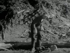 Logging a tree in 1945 | Beautiful Woodworking