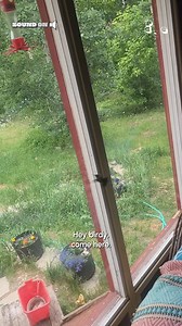 Thanks for helping the little guy 🐦💕 (Via - Reed S.) #Hummingbird #Birds #AnimalRescue | The Pet Collective