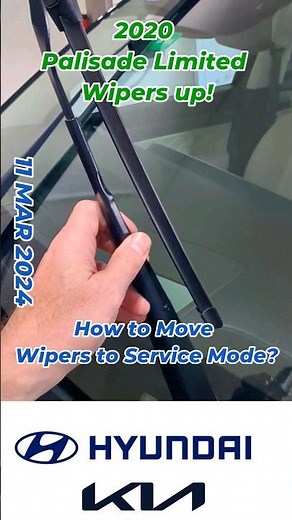 Hidden Palisade Wiper Mode #automobile #diy