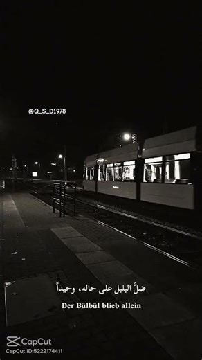 ti çima ketî vî dilî❤️‍🩹 #like