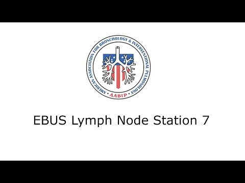 EBUS Lymph Node Station 7
