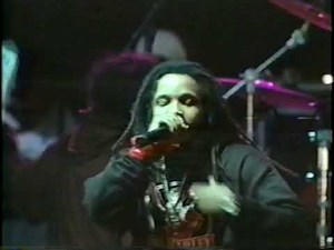 Steven Marley & Julian Marley - 2002 Punky Reggae Party Live
