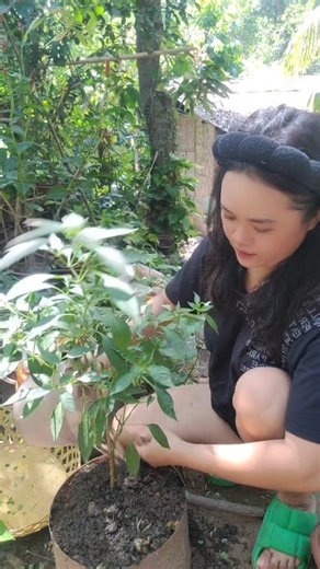 Making Homemade Organic fertilizer.🥰🍀 #fblifestyle | Haygie Andallaza