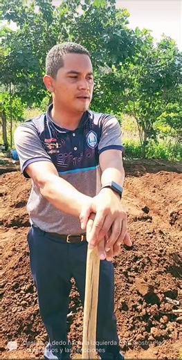 Outdoor Stick Training Techniques for Strength