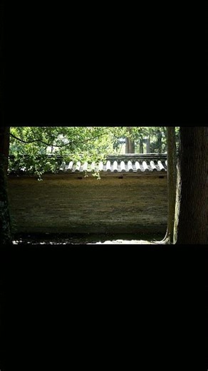 Japanese Shrine Wall Ambience • Daytime Birds & ASMR for Study ＆ Relaxation Tada shrine