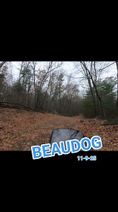 Some of the down hill action behind KIS on trail. Link to full video where I explore the area on my Gravel Bike in comments. BEAUDOG #TREK #CHECKPOINT #KISTRAIL #gravelbike | Shaun Beauregard | Facebook