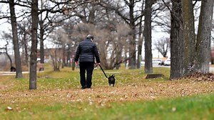 Service Dog Snoopy helps her owner Shirley (Canadian Veteran) with the daily battles of PTSD. Filming by Sam Dubas Photography For more information on our service dogs - https://msarservicedogs.com | MSAR - Service Dogs