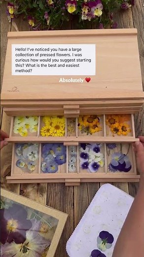 All the flower pressing basics you need to get started are right here ♥️✨