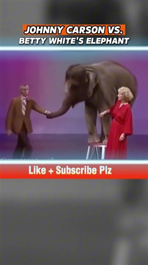 Johnny Carson stunned by Betty White’s elephant chaos 😂🐘 #Shorts #AnimalFails #tonightshow