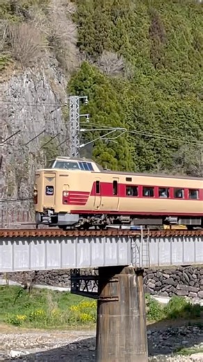 井倉を行く381系国鉄特急色編成