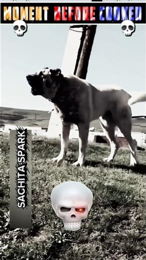 BABY SA BIGGEST TRANSFORMATION