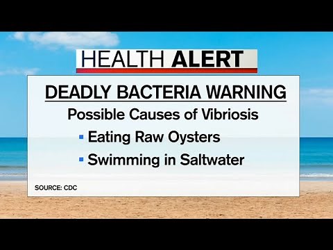 Medical expert explains deadly bacteria found in raw shellfish