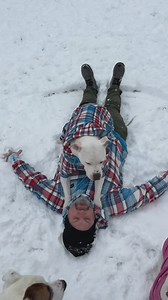 200K views · 18K reactions | Snow Shenanigans For These Deaf Dogs #doglover #dogsofinstagram #pitbullsofinstagram #dogstagram #dog #dogs #doglife #reels #snow #snowday #foryou | Cole the Deaf Dog- The Team Cole Project | Facebook