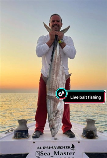Live Bait Fishing Techniques for Success